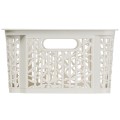 Regal bamboo branq25.jpg