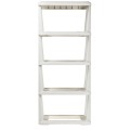 Regal bamboo branq33.jpg