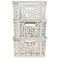 Regal bamboo branq23.jpg