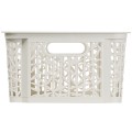 Regal bamboo branq25.jpg