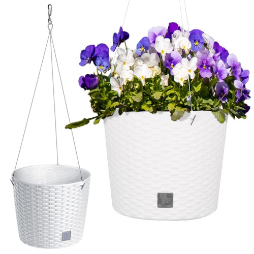 bialy rato round ws1.jpg