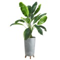 Doniczki Linia_GRACIA TUBUS SLIM_240 Prosperplast_14257.jpg