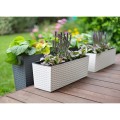 BEGONIA rattan_kremowy 74.jpg