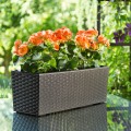 BEGONIA RATTAN mokka nr 83.jpg