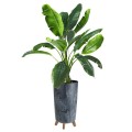 Doniczki Linia_GRACIA TUBUS SLIM_240 Prosperplast_1527.jpg