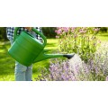 Salisbury-Greenhouse-A-Back-to-Basics-Watering-Guide-for-Edmonton-watering-garden-in-the-morning.jpg