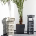 regaly bamboo5_5.jpg