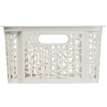 Regal bamboo branq25.jpg