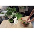 Coubi_Herbal_DKN300W_S449_aranz_01.jpg