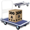 300kg-1.jpg