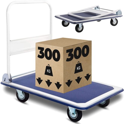 300kg-1.jpg
