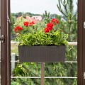 BEGONIA RATTAN grafit metalik nr 50.jpg