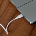 Kabel VA0122_0269.jpg