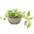 Misa MIRA eco wood - szara tif.jpg