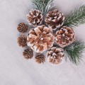pine-cones-branches-white-table.jpg