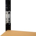 rega5.jpg