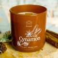 1 cynamon.jpg