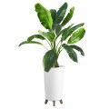 Doniczki Linia_GRACIA TUBUS SLIM_240 Prosperplast_1d257.jpg