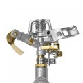 11661993-standard.jpg