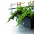 product_3928_image_33827.jpg