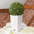 product_3949_image_34007.jpg
