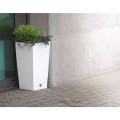 product_3949_image_34006.jpg