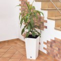 product_3949_image_34009.jpg