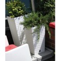 product_3949_image_34008.jpg