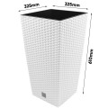 product_3951_image_34028.jpg