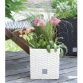 product_3952_image_34030.jpg