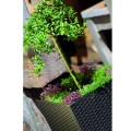 product_3952_image_34032.jpg
