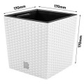 product_3952_image_34034.jpg
