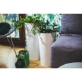 product_3980_image_34425.jpg