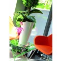 product_3968_image_34329.jpg