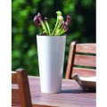 product_3980_image_34427.jpg