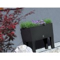 product_4006_image_34705.jpg