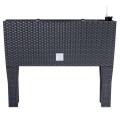 product_4006_image_34706.jpg
