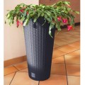 product_4009_image_34726.jpg