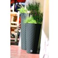 product_4009_image_34727.jpg
