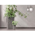 product_4013_image_34759.jpg