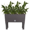 Doniczka Rato case high - umbra DRTC800H-440U Prosperplast (8).jpg