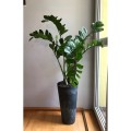 Doniczka Tubus slim Effect - antracytowy DTUS150E-S433 Prosperplast (4).jpg