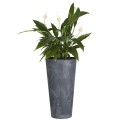 Doniczka Tubus slim Effect - antracytowy DTUS150E-S433 Prosperplast (7).jpg