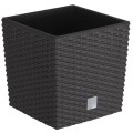 Doniczka Rato low - Umbra DRTS170L-440U Prosperplast (5).jpg