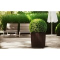 Doniczka Rato low - Umbra DRTS170L-440U Prosperplast (8).jpg