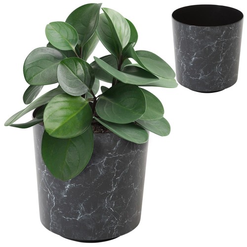 marmurx1 ciemny1.jpg