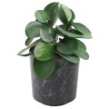 marmur-1.jpg
